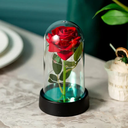 Eternal Red Rose